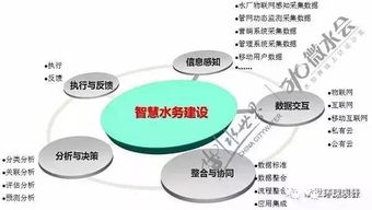 智慧水务建设实践 专家视角与企业工程管理服务探索